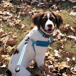 Meet your Posher, Kara